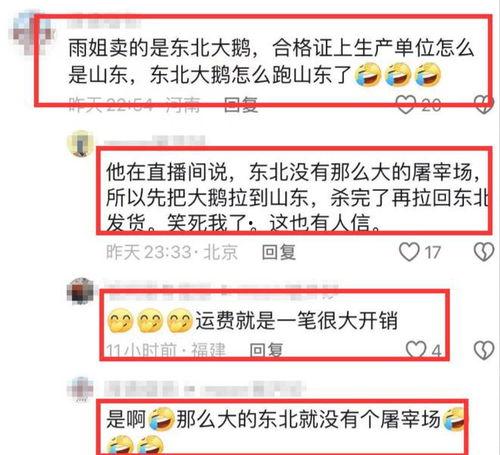 爆料大鹅解说视频,爆料视频背后的精彩瞬间