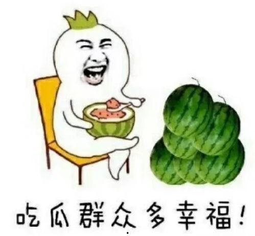 吃瓜娱乐圈动画视频